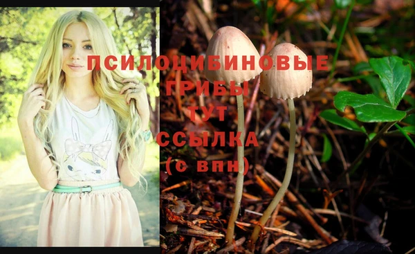 ПСИЛОЦИБИНОВЫЕ ГРИБЫ Алзамай