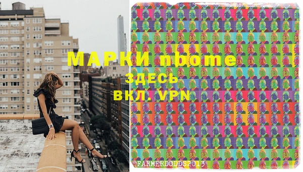 PSILOCYBIN Покров