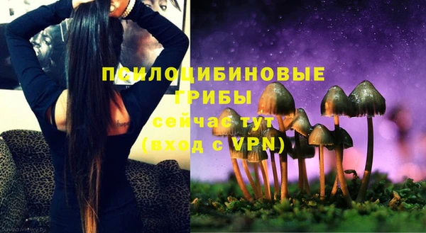 PSILOCYBIN Покров
