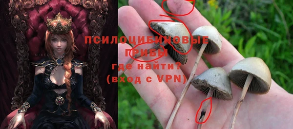 ПСИЛОЦИБИНОВЫЕ ГРИБЫ Алзамай