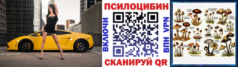 мега ссылки  Камешково  Галлюциногенные грибы Magic Shrooms 